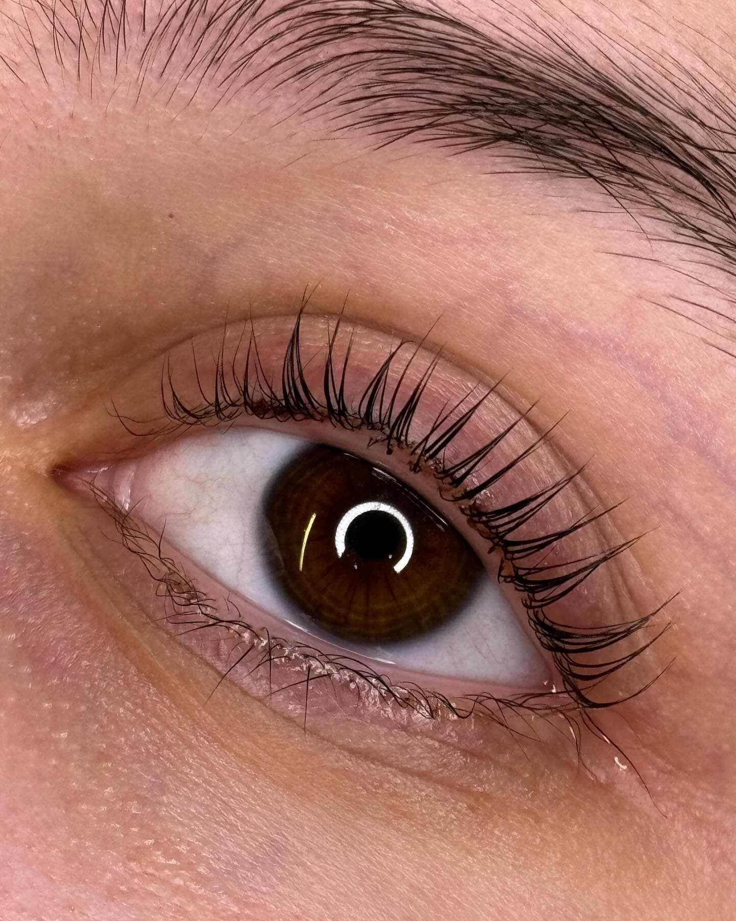 lashes — lashes 05