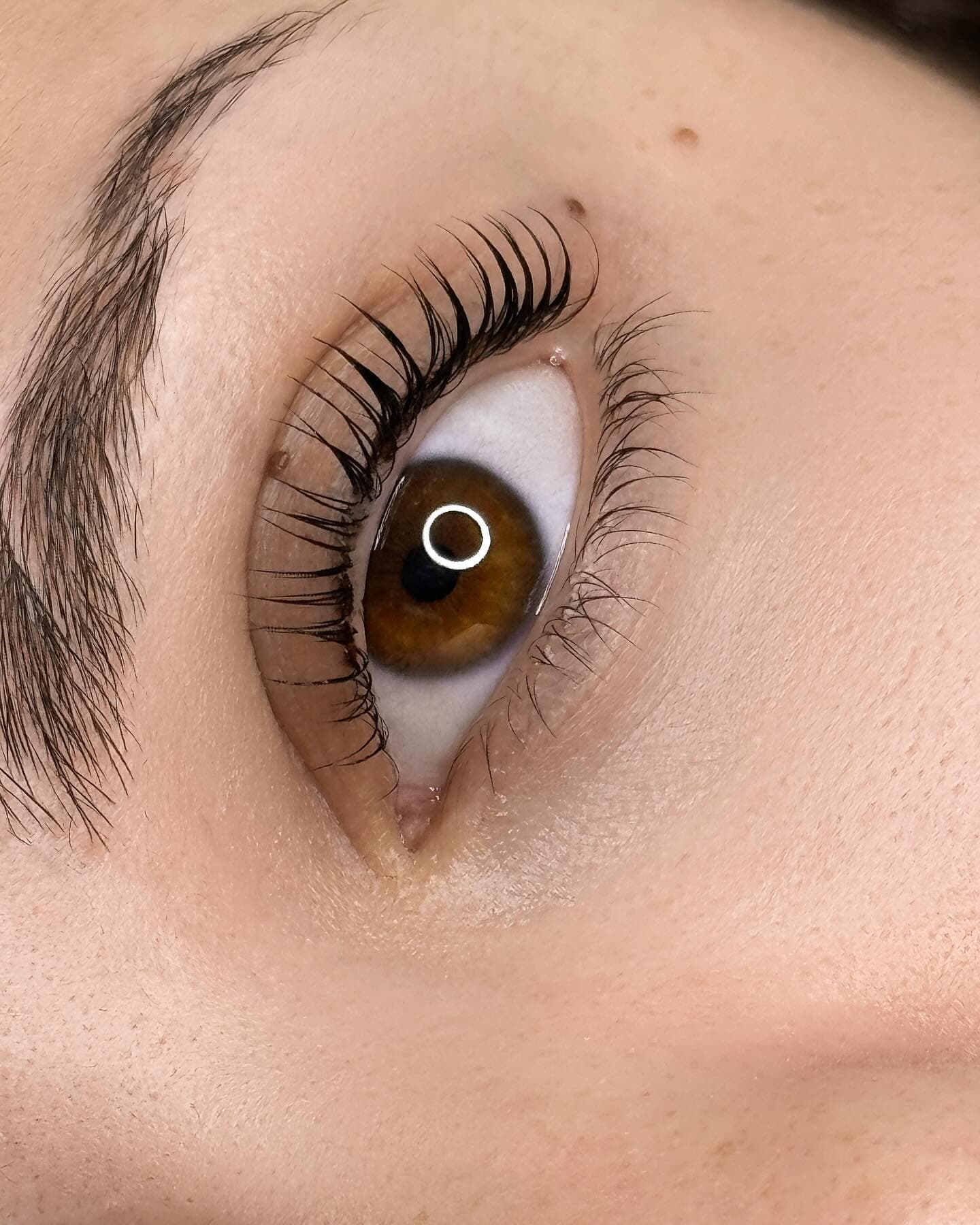 lashes — lashes 06