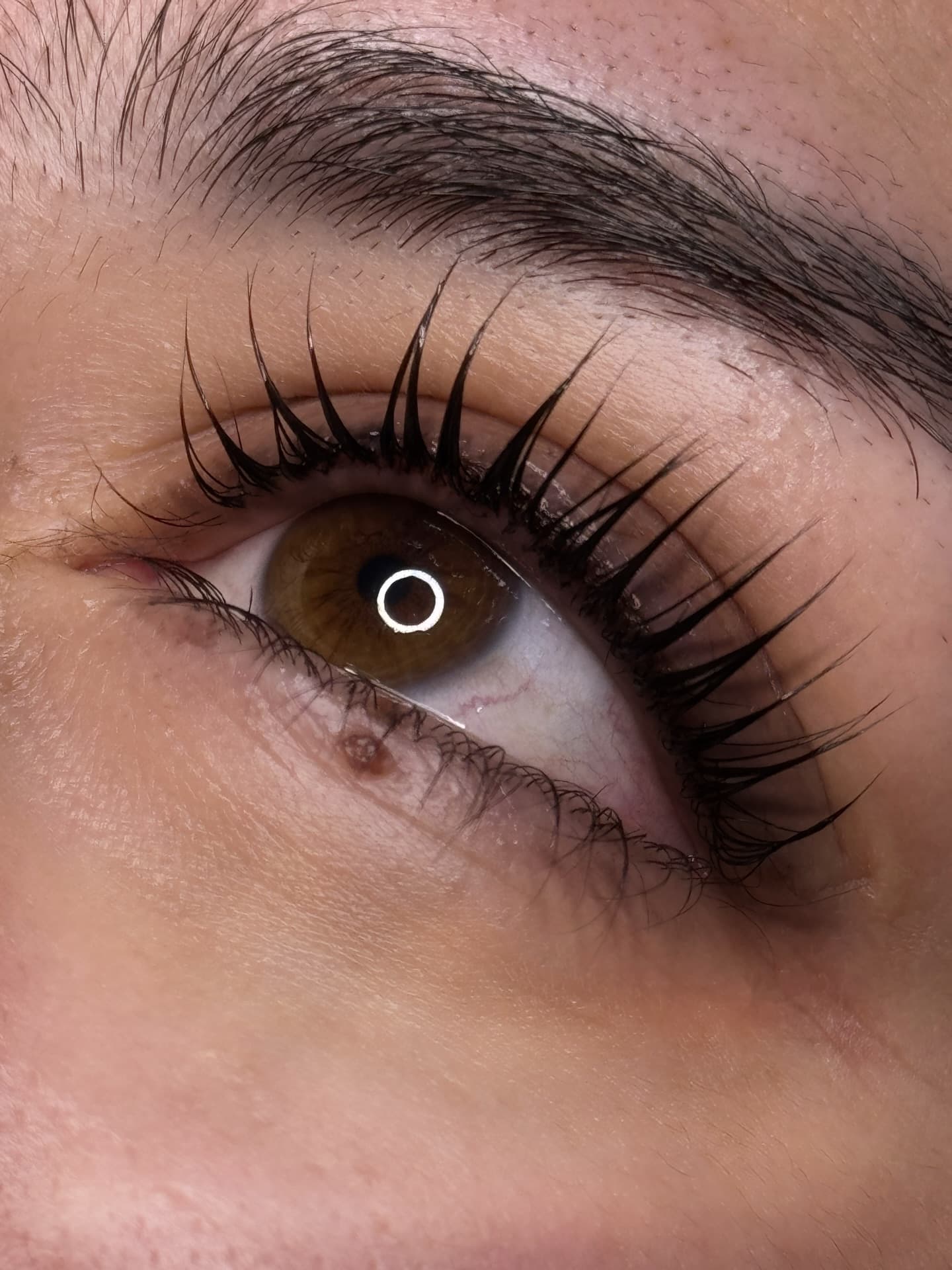 lashes — lashes 14